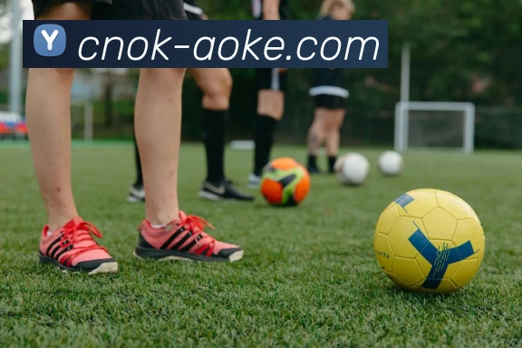 辅助工具 辅助工具